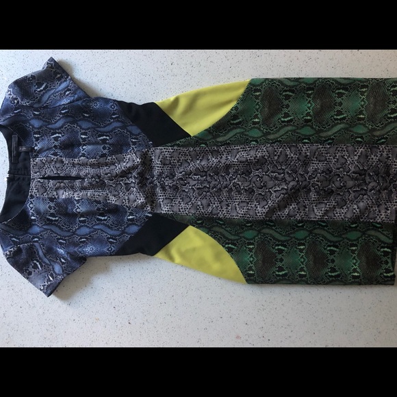 BCBG Snakeprint Colorblock Dress - Picture 3 of 4
